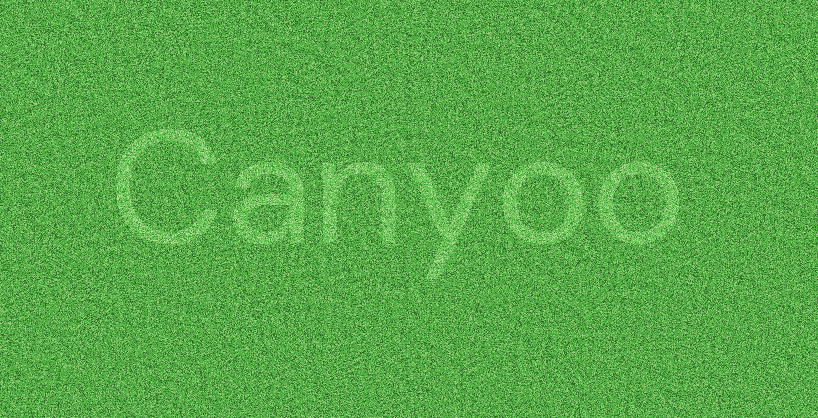 Yangzhou Canyoo Grass Carpet Co., Ltd.