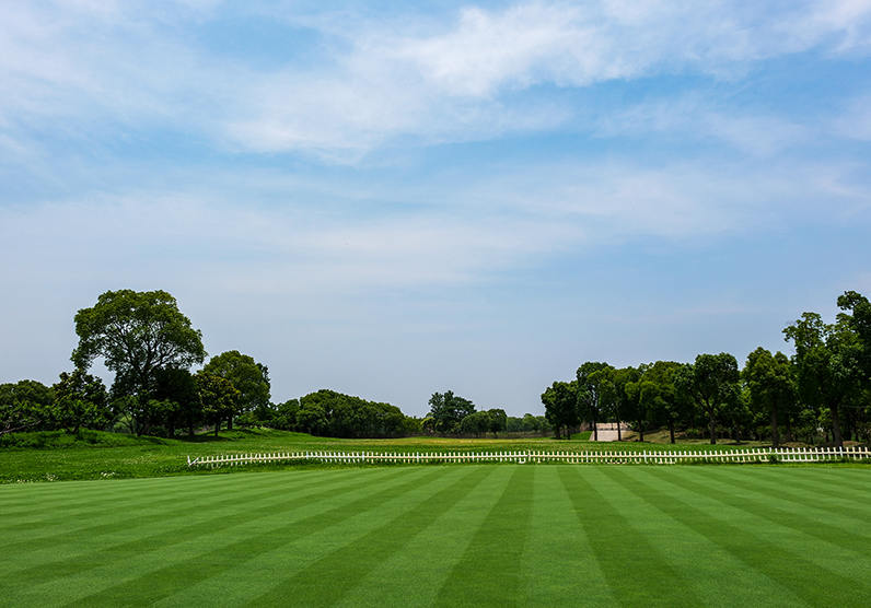 Yangzhou Canyoo Grass Carpet Co., Ltd.