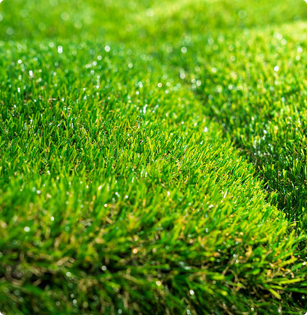 Yangzhou Canyoo Grass Carpet Co., Ltd.